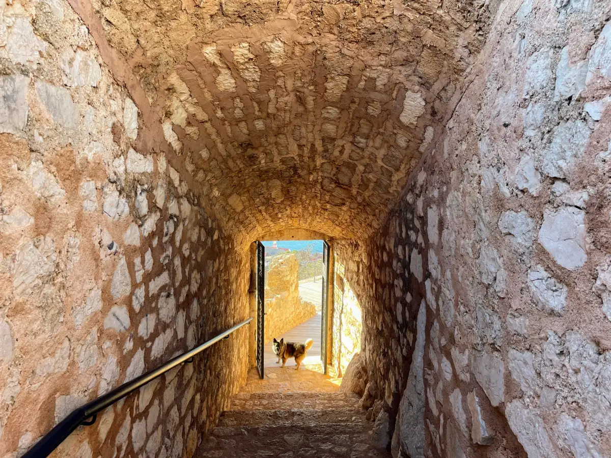 Stone tunnel passage within St. John's Fortress in Šibenik, leading to an exit where a dog stands in the sunlight.
